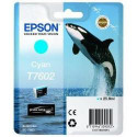 EPSON C13T76024010 CIANO ORCA | Fcf Forniture Cine Foto