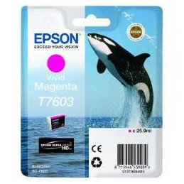 EPSON C13T76034010 MAGENTA ORCA | Fcf Forniture Cine Foto