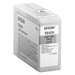 EPSON C13T850900 LIGHT LIGHT BLACK | Fcf Forniture Cine Foto