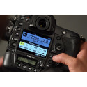 NIKON D6 BODY - GARANZIA 4 ANNI NITAL | Fcf Forniture Cine Foto
