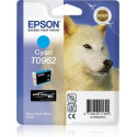EPSON C13T09624010 CIANO LUPO