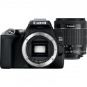 CANON EOS 250D + AF-S 18-55mm F4-5.6 IS STM - GARANZIA CANON ITALIA | Fcf Forniture Cine Foto
