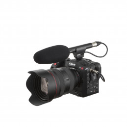 CANON EOS C70 BODY | Fcf Forniture Cine Foto