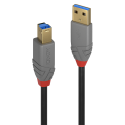 LINDY CAVO USB 3.2 TIPO A A B 5 GBIT 2M | Fcf Forniture Cine Foto