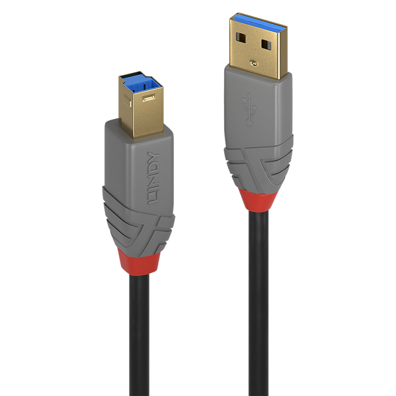 LINDY CAVO USB 3.2 TIPO A A B 5 GBIT 2M | Fcf Forniture Cine Foto