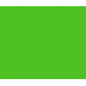 COLOURLITE 139 PRIMARY GREEN ROTOLO 1.20X7M | Fcf Forniture Cine Foto