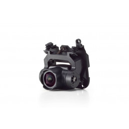 DJI FPV GIMBAL CAMERA | Fcf Forniture Cine Foto