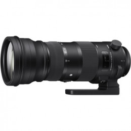 SIGMA 150-600mm F5-6.3 SPORT DG OS HSM AF NIKON | Fcf Forniture Cine Foto
