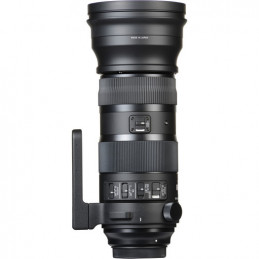 SIGMA 150-600mm F5-6.3 SPORT DG OS HSM AF NIKON | Fcf Forniture Cine Foto