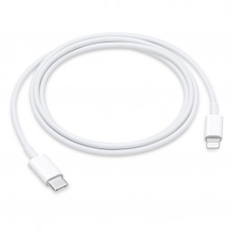 APPLE CAVO DA USB-C A LIGHTNING 2M | Fcf Forniture Cine Foto