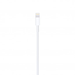 APPLE CAVO DA USB A LIGHTNING 1M | Fcf Forniture Cine Foto