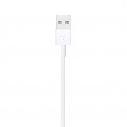 APPLE CAVO DA USB A LIGHTNING 1M | Fcf Forniture Cine Foto