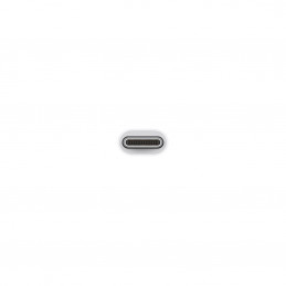 APPLE ADATTATORE DA USB-C A USB | Fcf Forniture Cine Foto