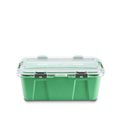 ALSTORA 46L CONTENITORE CON COPERCHIO GRASS GREEN | Fcf Forniture Cine Foto Milano