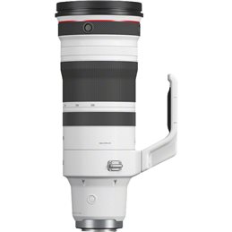 CANON RF 100-300mm F2.8 L IS USM | Fcf Forniture Cine Foto