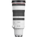 CANON RF 100-300mm F2.8 L IS USM | Fcf Forniture Cine Foto