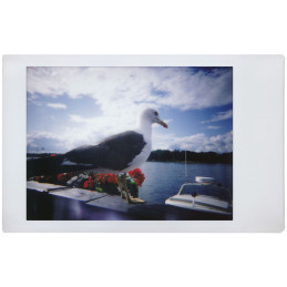 LOMOGRAPHY LOMO'INSTANT MINI SAN REMO|Fcf Forniture Cine Foto