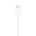 APPLE EARPODS USB-C | Fcf Forniture Cine Foto