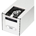 HAHNEMUHLE FINEART BARYTA SATIN GR300BR CM61X12M HHN10643533 | Fcf Forniture Cine Foto