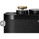 LEICA SOFT RELEASE BUTTON (BRASS, BLASTED FINISH) | Fcf Forniture Cine Foto