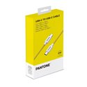PANTONE PT-CTL002-5Y CAVO USB-C LIGHTNING 1.5MT YELLOW