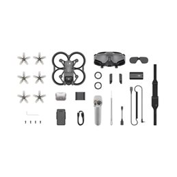 DJI AVATA 2 PRO VIEW COMBO (GOGGLES 2)