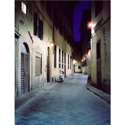 CINESTILL C-41 800 TUNGSTEN 120 RULLINO SINGOLO