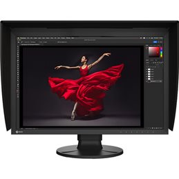 EIZO COLOREDGE CG2400S MONITOR 24" 