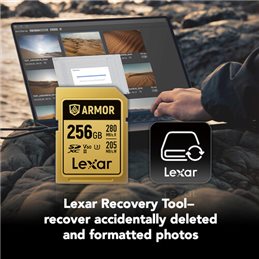 LEXAR 256GB ARMOR GOLD V60 SDXC | Fcf Forniture Cine Foto