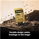 LEXAR 256GB ARMOR GOLD V60 SDXC | Fcf Forniture Cine Foto