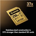 LEXAR 256GB ARMOR GOLD V60 SDXC | Fcf Forniture Cine Foto