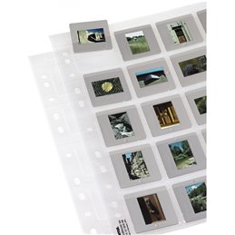 SVAR 25 BUSTE TARUS 5X5 | Fcf Forniture Cine Foto