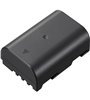 PANASONIC DMW-BLF19 BATTERIA