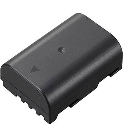 PANASONIC DMW-BLF19 BATTERIA