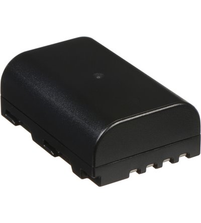 PANASONIC DMW-BLF19 BATTERIA