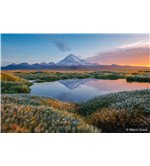 SONY A7R VI BODY ILCE7RM6B - GARANZIA SONY ITALIA