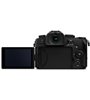PANASONIC LUMIX G97 + 12-60mm F3.5-5.6