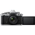 NIKON ZF SILVER + Z 40mm f/2 SE + SDXC 128GB
