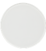 PROFOTO GLASS PLATE FOR FLAT FRONT FROSTED (COMPATIBILE B1, B1X, D1, D2, D30, PRO-D3, PRO-B3)