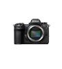 NIKON Z6 II + NIKKOR Z 24-120 F/4 S