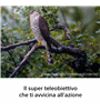 SONY FE 600mm F6.3 GM OSS SEL600F63GMW - GARANZIA SONY ITALIA