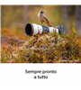 SONY FE 600mm F6.3 GM OSS SEL600F63GMW - GARANZIA SONY ITALIA