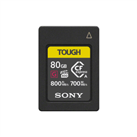 Schede di Memoria e Lettori di Schede