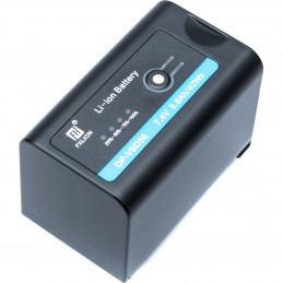 PANASONIC VW-VBD58 BATTERIA RICARICABILE | Fcf Forniture Cine Foto