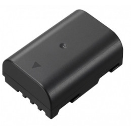 PANASONIC BATTERIA DMW-BLF19E | Fcf Forniture Cine Foto