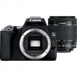 CANON EOS 250D + AF-S 18-55mm F4-5.6 IS STM - GARANZIA CANON ITALIA | Fcf Forniture Cine Foto