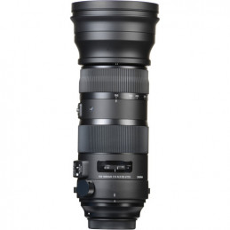 SIGMA 150-600mm F5-6.3 SPORT DG OS HSM AF NIKON | Fcf Forniture Cine Foto