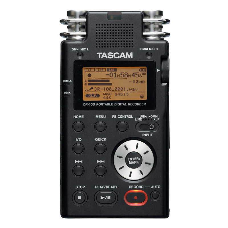 TASCAM DR-100