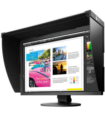 EIZO CG319X MONITOR 31" NOLEGGIO - Fcf Rental & Production - Milano