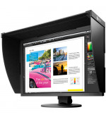 EIZO CG319X MONITOR 31" NOLEGGIO - Fcf Rental & Production - Milano